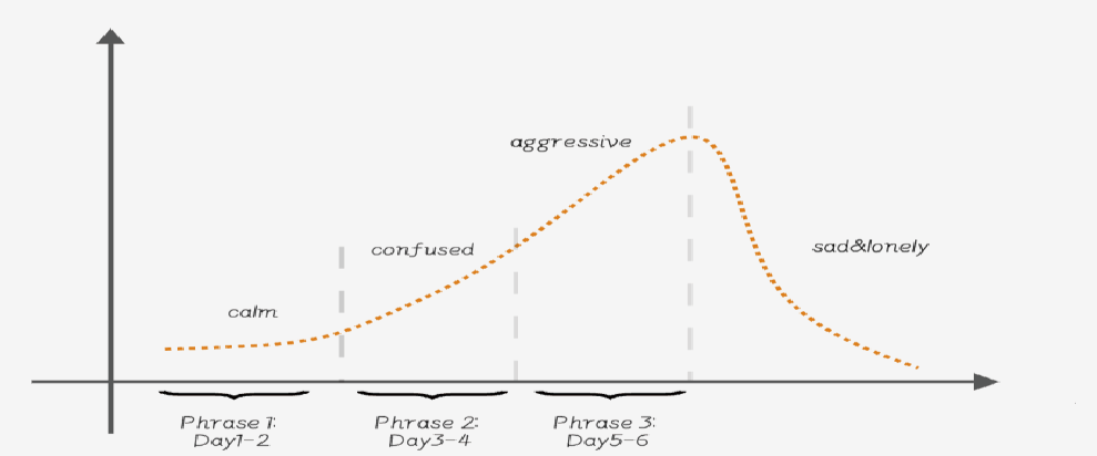 Emotion curve across the three phases of 6 Mornings
